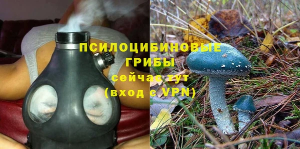 ALPHA-PVP Верея