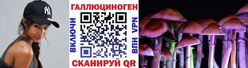 Купить где  Суровикино  Галлюциногенные грибы Cubensis 